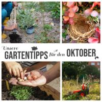 Gartentipps für den Oktober