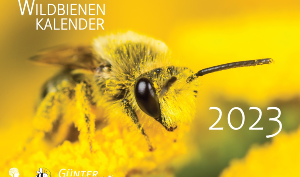 Wildbienenkalender 2023: Cover